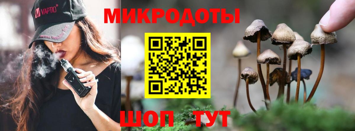 где продают   Псилоцибиновые грибы мицелий  Вход с VPN  Топки  Псилоцибиновые грибы мухоморы 